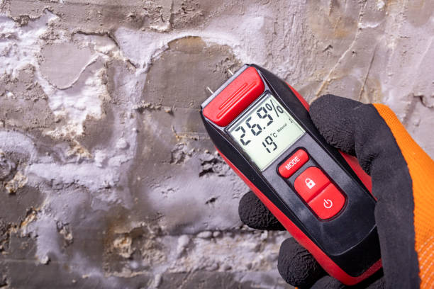 Best Toxic Mold Removal  in Franklin Park, NJ