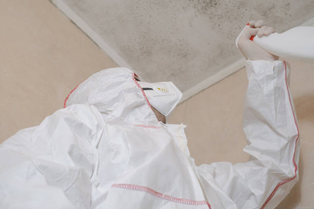 Best Residential Mold Removal  in Franklin Park, NJ